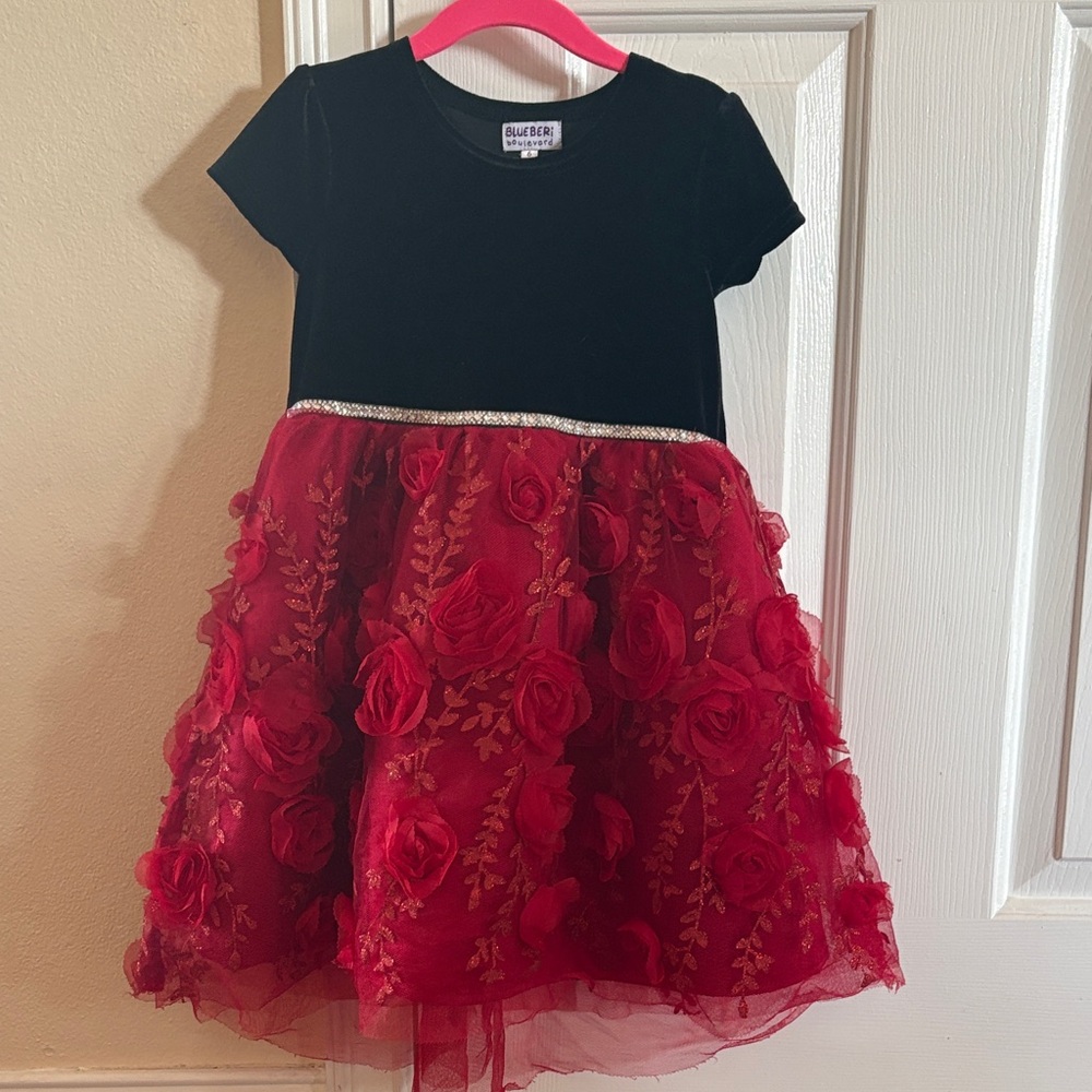 Blueberi Boulevard Black and Red Floral Tulle Dress size 6